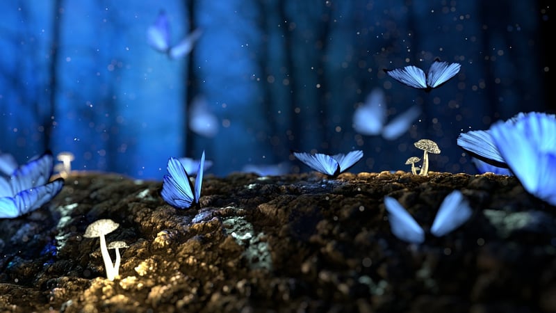 Enchanted Garden Decor